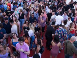 Y2K Cruise 7-28